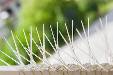 Bird Spikes In Pune